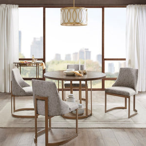 Contemporary Modern Accent Dining Chairs (Set of 2)