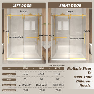 56-60" x 76" Frameless Sliding Shower Door