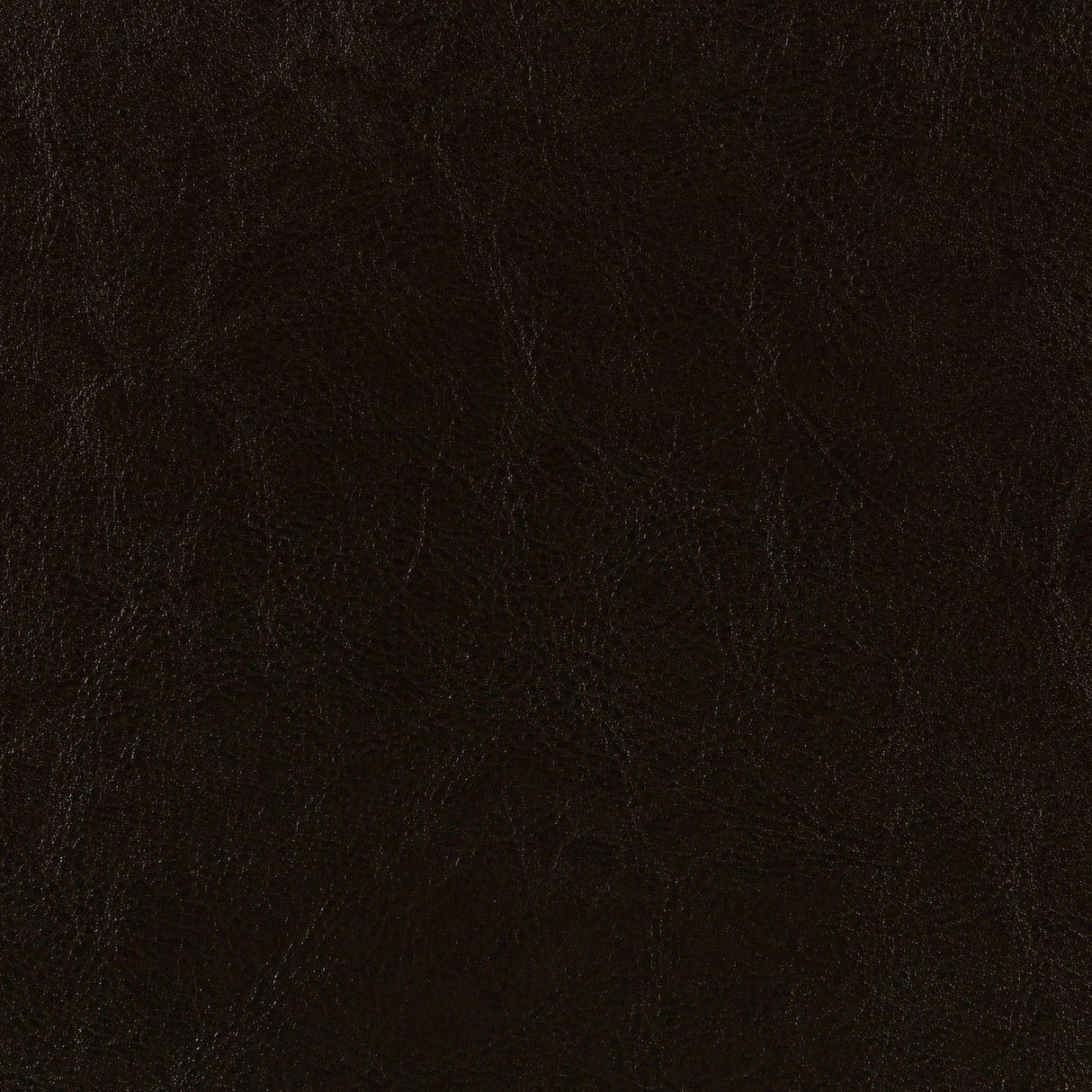 Dorian Faux Leather Upholstered Queen Panel Bed Brown