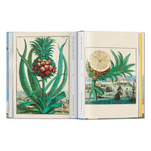J. C. Volkamer. The Book of Citrus Fruits. 45th Ed. (German, French, English)