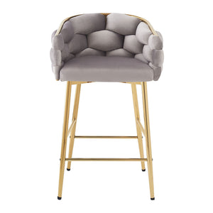 Modern Counter Stools (Set of 2)