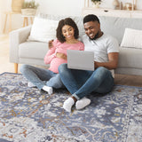 NAAR PAYAS Traditional Non-Shedding and Stain Resistant Area Rug