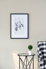 Verdura Botanica: Four-Print Houseplant Pencil Art Set