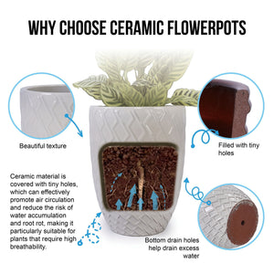 Ceramic Flowerpot, Planter For Patio, Garden, Windowsill