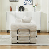 Folding Sofa Bed Convertible Couch with 2 Pillows