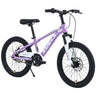 ZUKKA 20 Inch Mountain Bike for Boys and Girls (Ages 7-10)