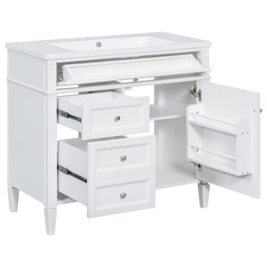 Bathroom Vanity With Top Sink, 2 Drawers and Tip Out Drawer