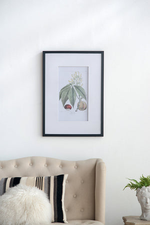 19.7x27.6' Botanical Wall Arts, Set of 2