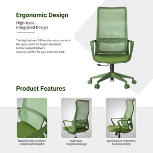 Ergonomic Colorful Office Chair