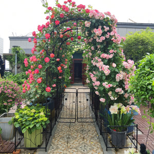 Metal Garden Arch with Two Plant Stands