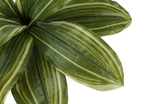 17" Tall Artificial Dracaena Plant