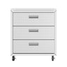 Fortress -3 Drawer Rolling Garage Cabinet