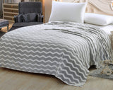 Decor&More Home Essentials Chevron Microplush Blanket