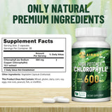 Chlorophyll Supplement 600mg - 60 Capsules