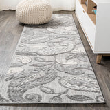 Julien Paisley High-Low Indoor/Outdoor Runner Rug
