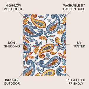 Julien Paisley High-Low Area Rug
