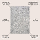 Gordes Paisley High-Low Indoor/Outdoor Area Rug