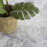 Olive Rosman  Area Rug - Clearance