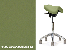 Advanced Saddle
