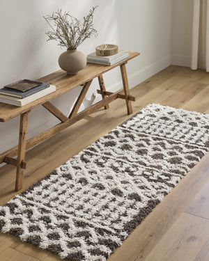 Aysel Shag Area Rug