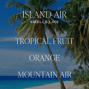 Island Air Soy Candle - Tinted Glass Jar - 12 oz