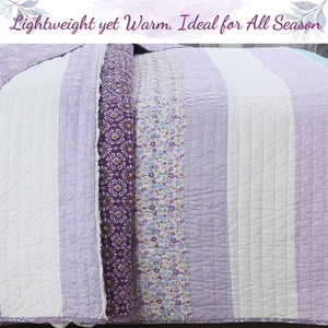 Purple Cosmos Spring Floral Stripe Garden Lavender Teal Ruffle Cotton Reversible Quilt Bedding Set