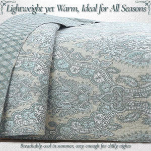 Ornate Paisley Medallion Grey Blue Cotton 3 Piece Queen Quilt Bedding Set