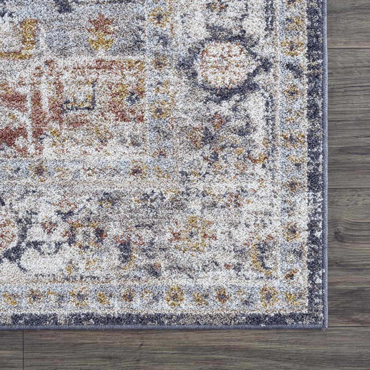 Ivria Navy & Rust Area Rug