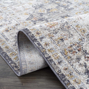 Ivria Navy & Rust Area Rug