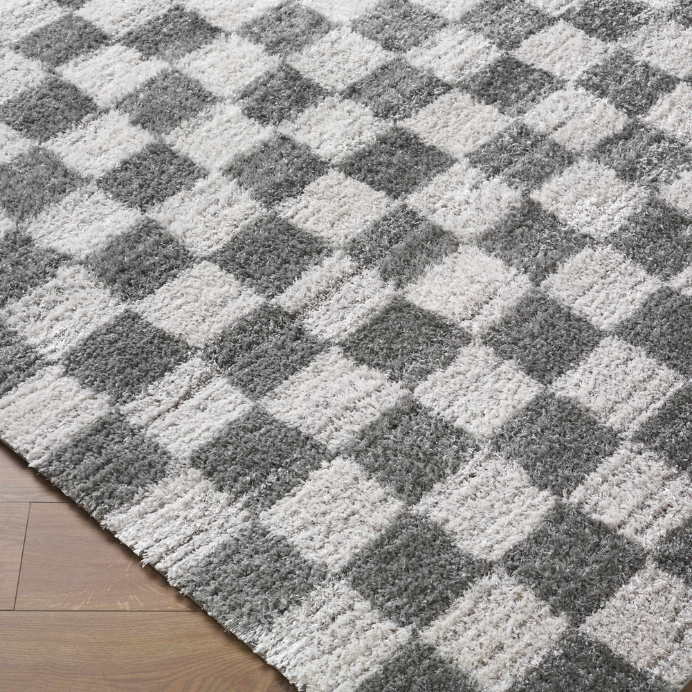Belita Charcoal Luxe Shag Area Rug