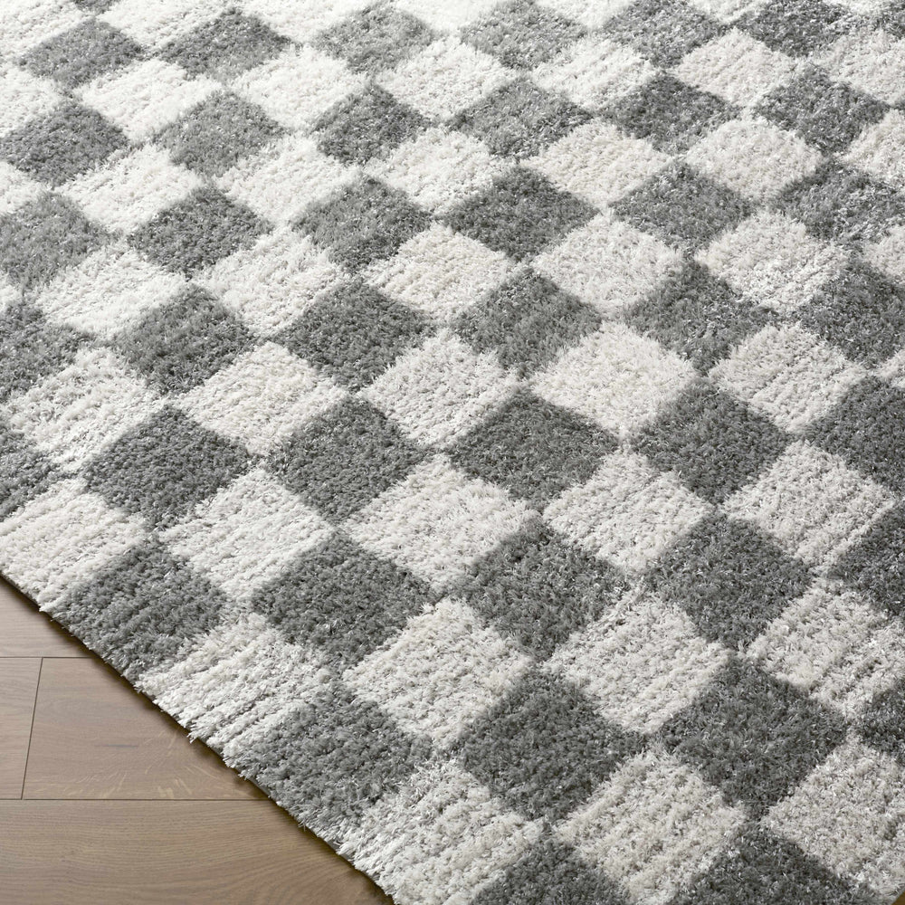 Belita Charcoal Luxe Shag Area Rug