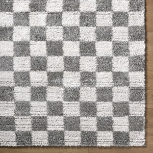 Belita Charcoal Luxe Shag Area Rug