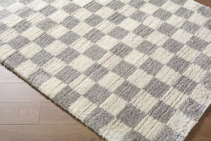 Belita Tan Luxe Shag Area Rug