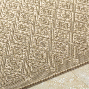 Bandit Brown Area Rug