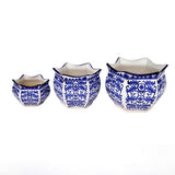 Blue and white spring blossom planter set