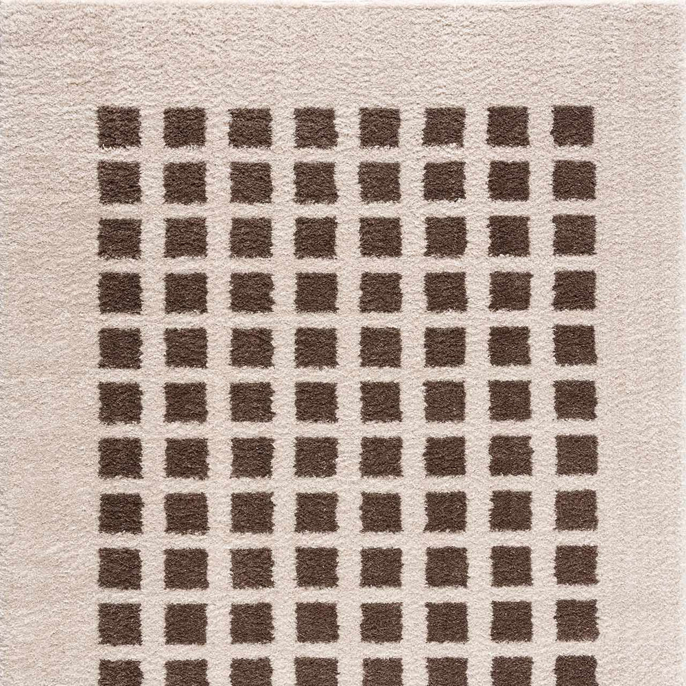 Baback Brown Washable Area Rug