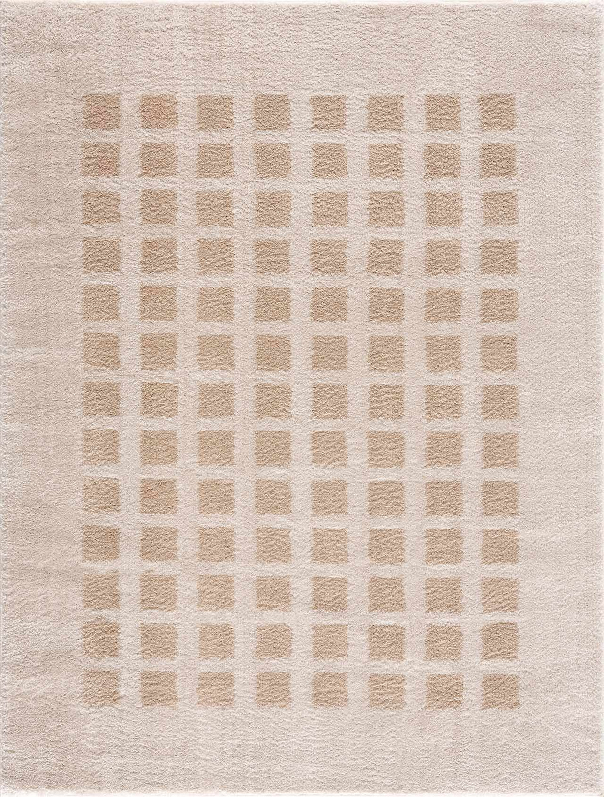 Baback Beige Washable Area Rug