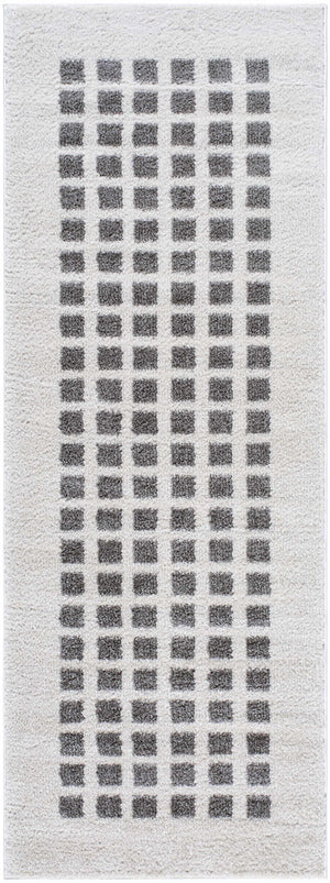 Baback Charcoal Washable Area Rug