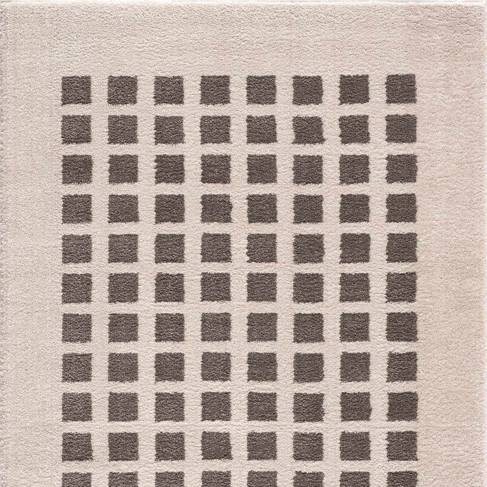 Baback Charcoal Washable Area Rug