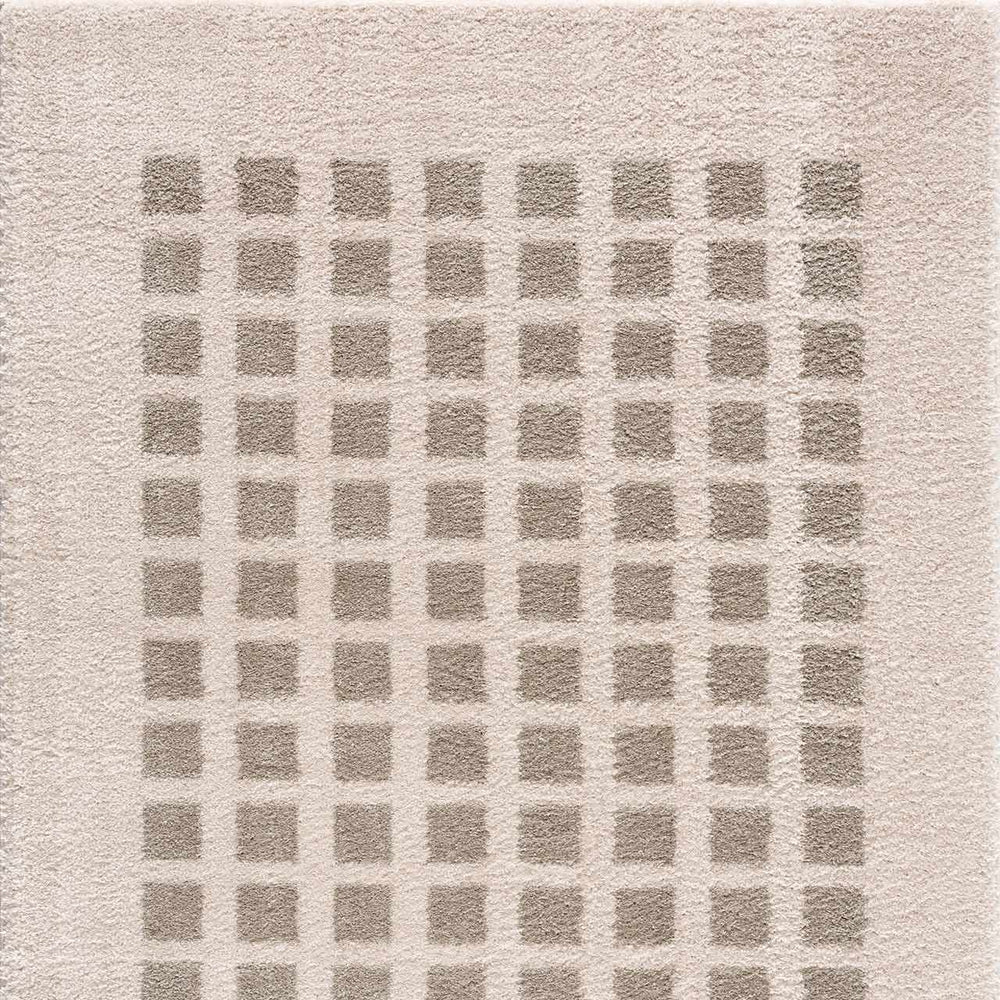 Baback Gray Washable Area Rug