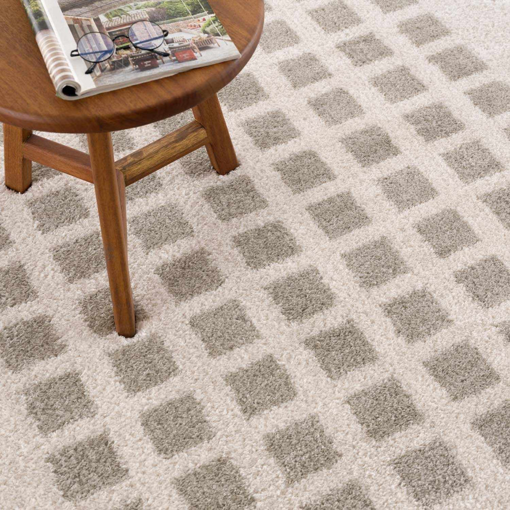 Baback Gray Washable Area Rug