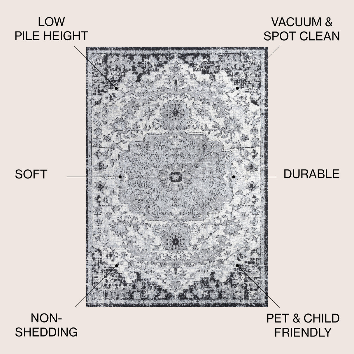 Anaise Ornate Medallion Area Rug