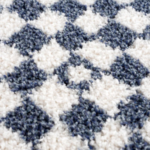 Kieu Blue & White Checkered Area Rug