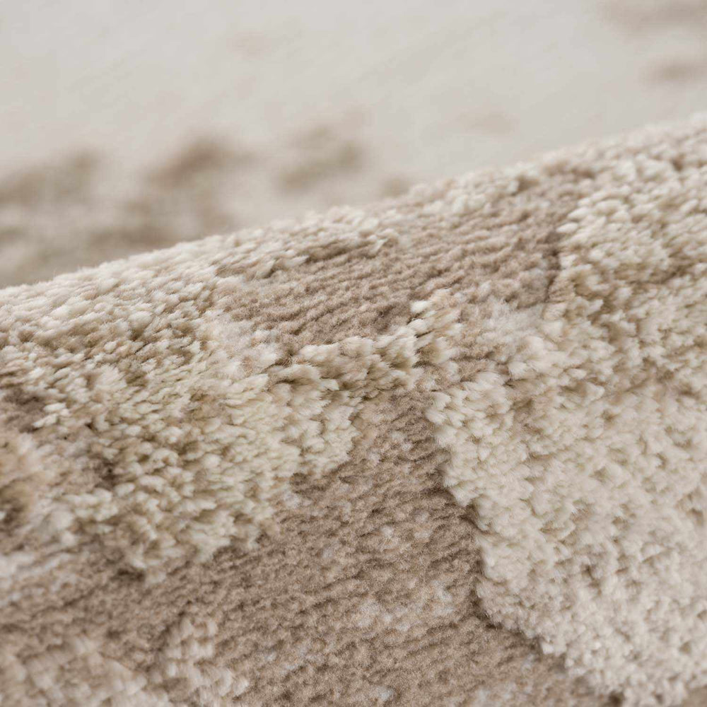 Briley Beige Area Rug