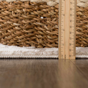 Briley Beige Area Rug