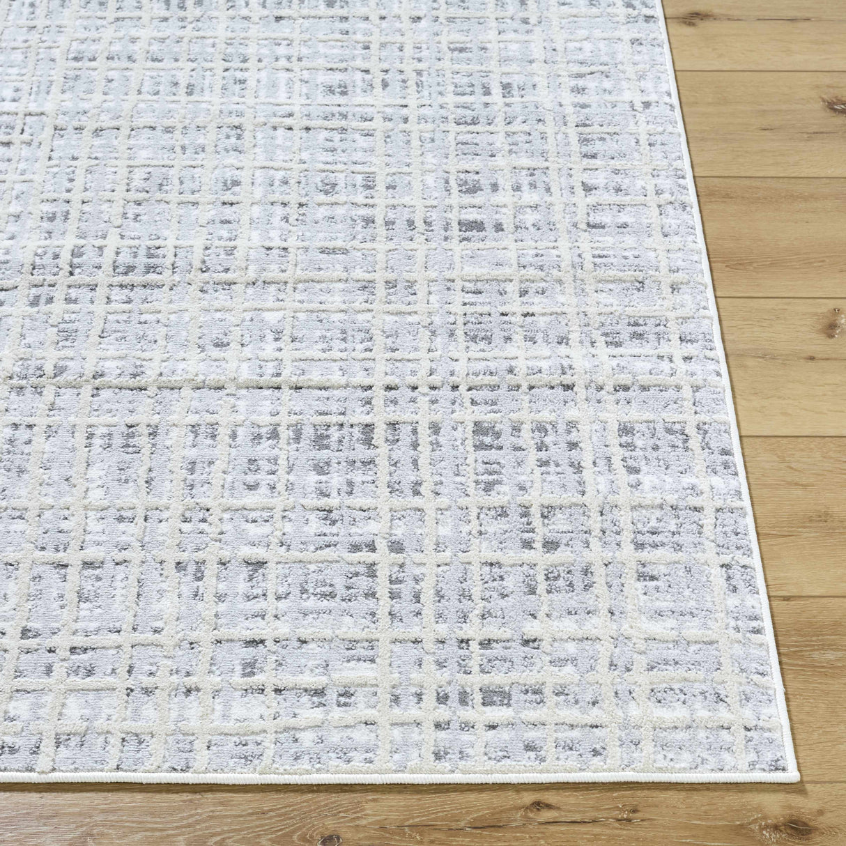Barbra Gray Area Rug