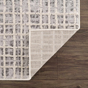 Barbra Gray Area Rug