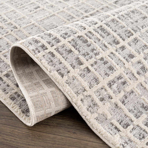Barbra Gray Area Rug
