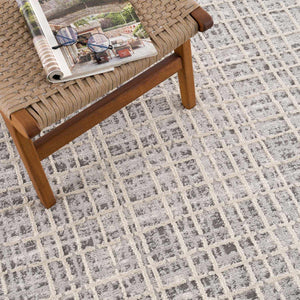 Barbra Gray Area Rug