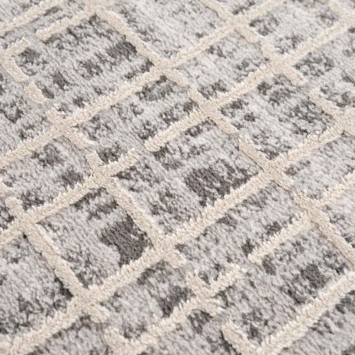 Barbra Gray Area Rug